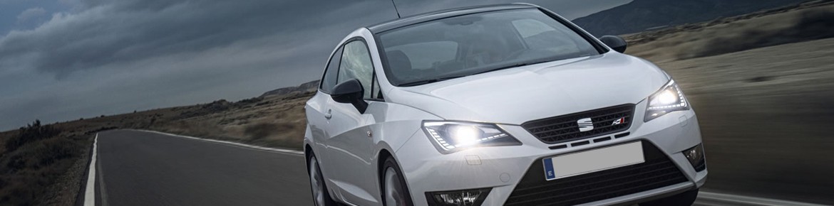 DrakeBox Chip tuning Seat Leon 1.6 TDI CR 90 hp