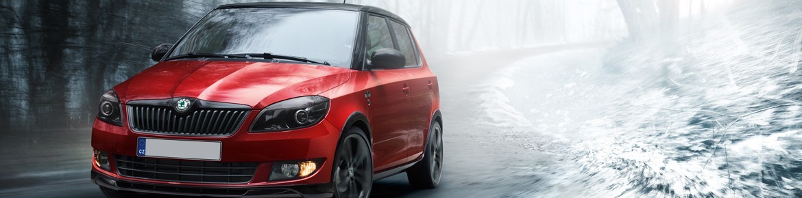 DrakeBox Chip tuning Skoda Laura 2.0 TDI CR 110 hp